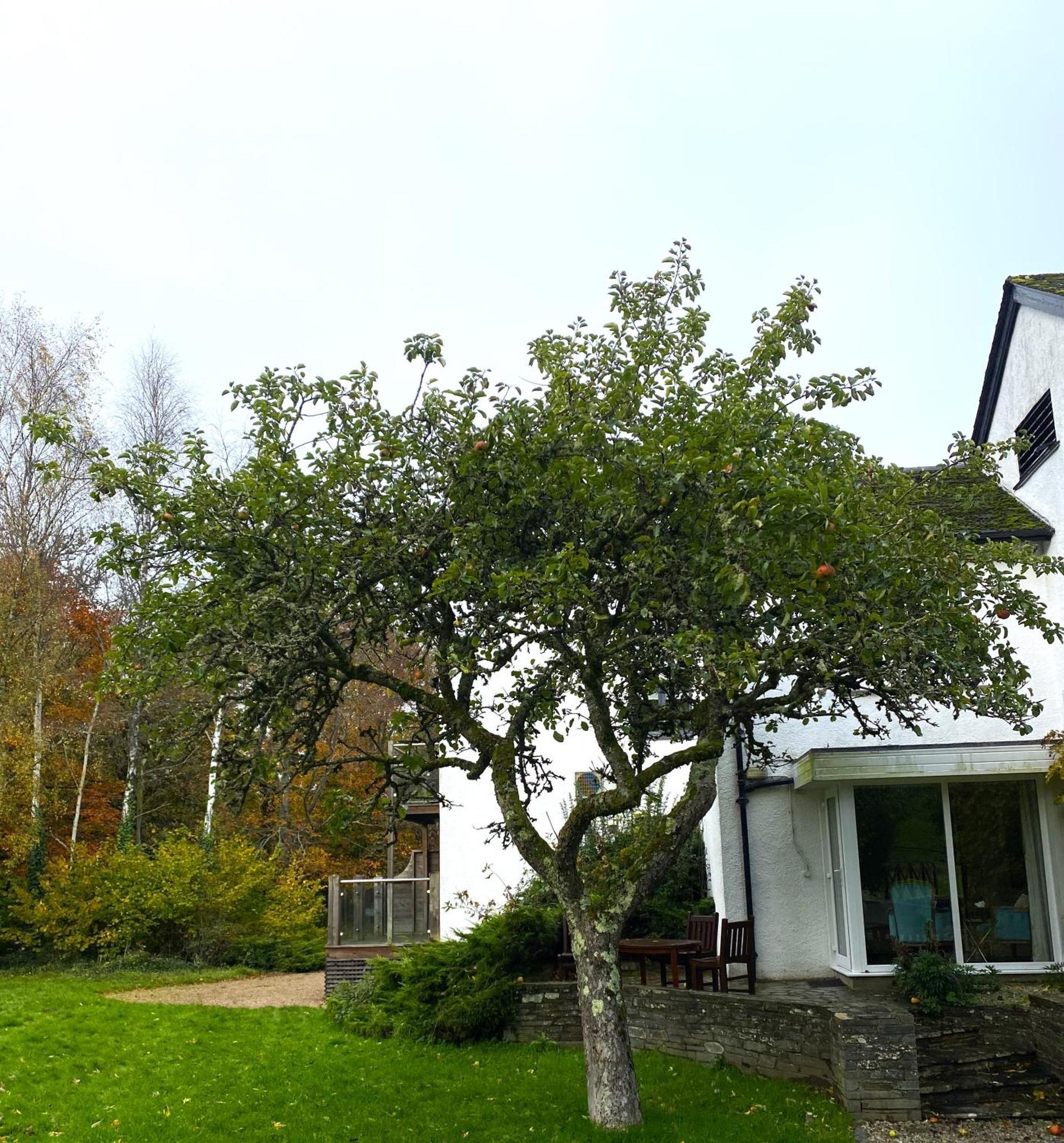 Mill End Hotel Chagford Bagian luar foto